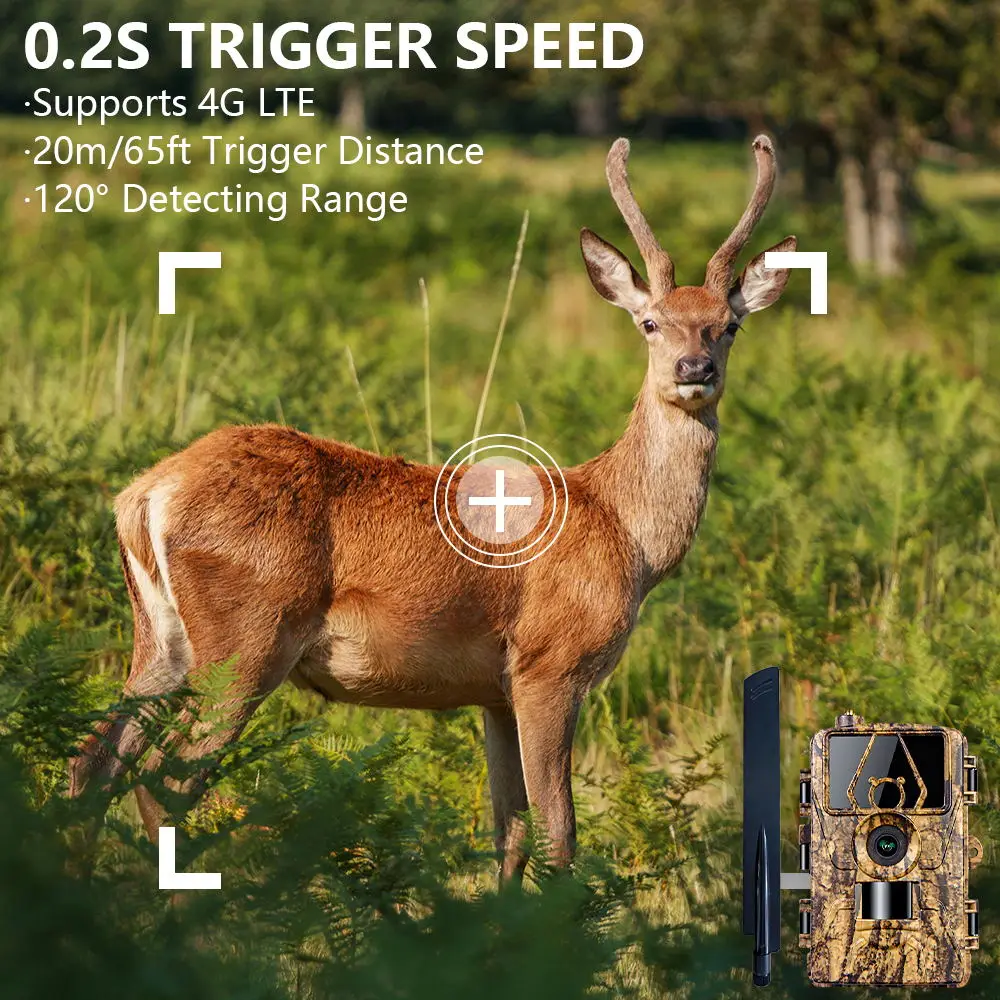 Pr801 4G Network Observation H - огляд і ціна Outdoor Hunting House